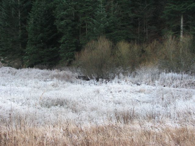 Nationalpark Risnjak 10